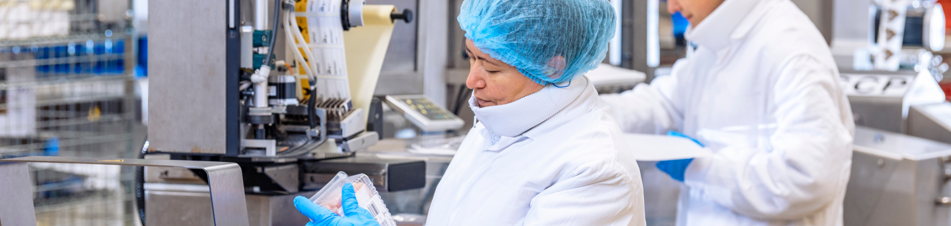 Panoramabild - Produktionsmitarbeiter