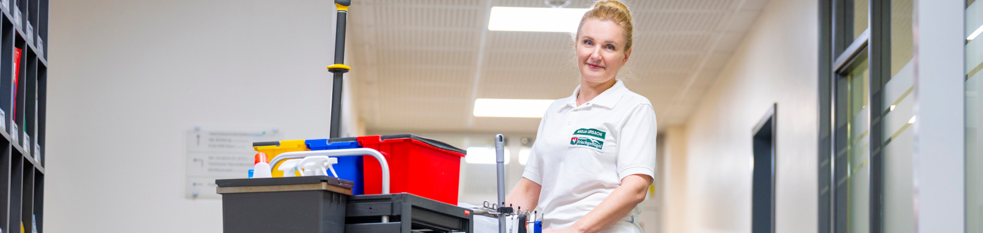 Panoramabild -Reinigung