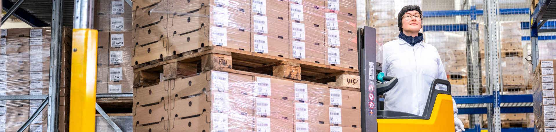 Panoramabild - Kommissionierung