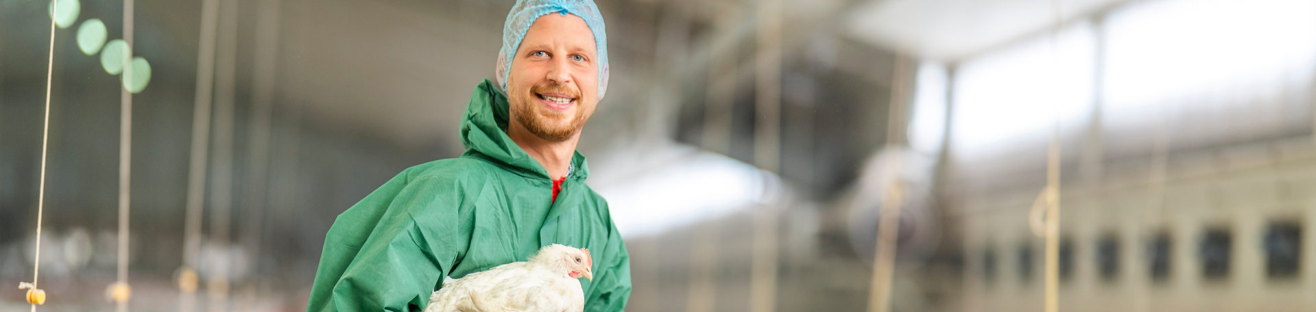 Panoramabild - Farmbetriebe